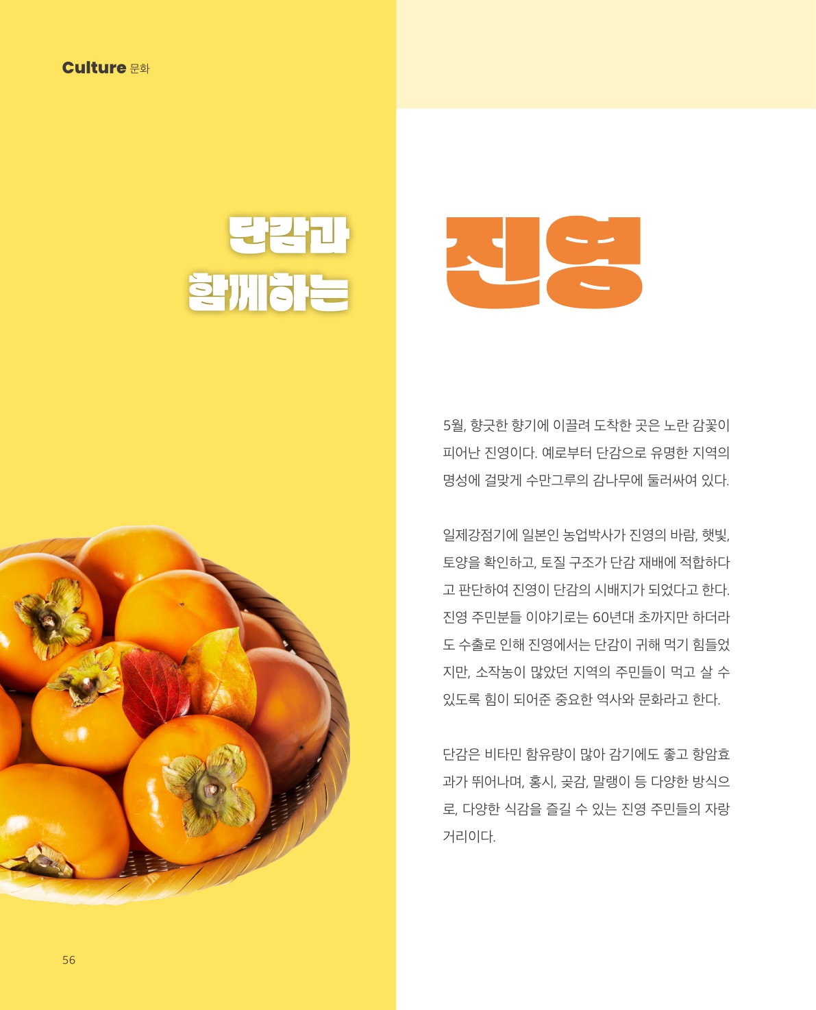 사진 및 동영상미리보기