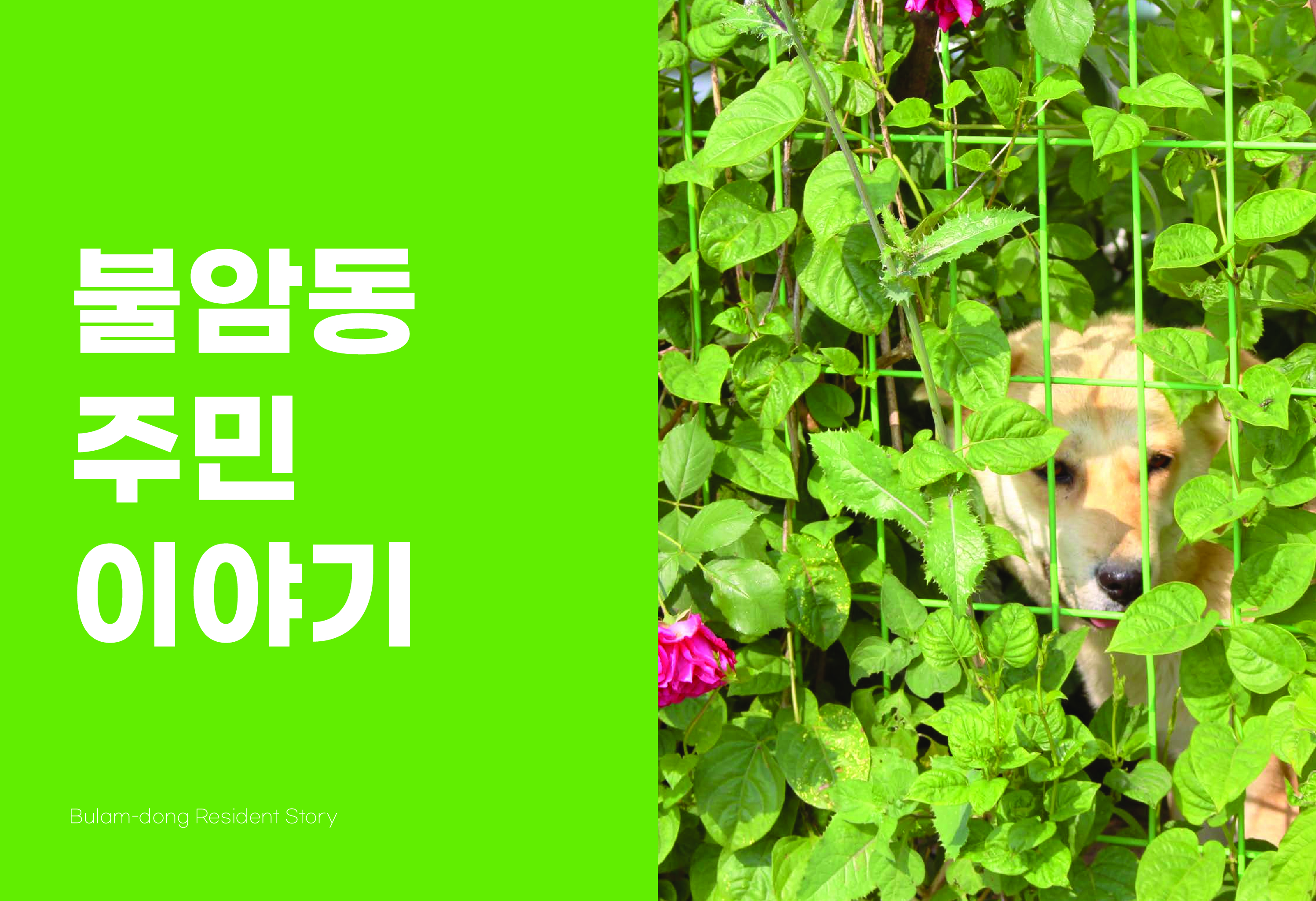 사진 및 동영상미리보기